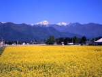 Mt. Jonen, the View from Horigane